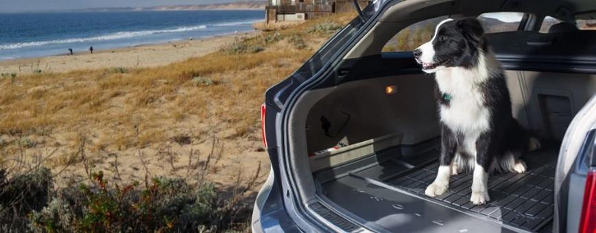 Pour un coffre propre