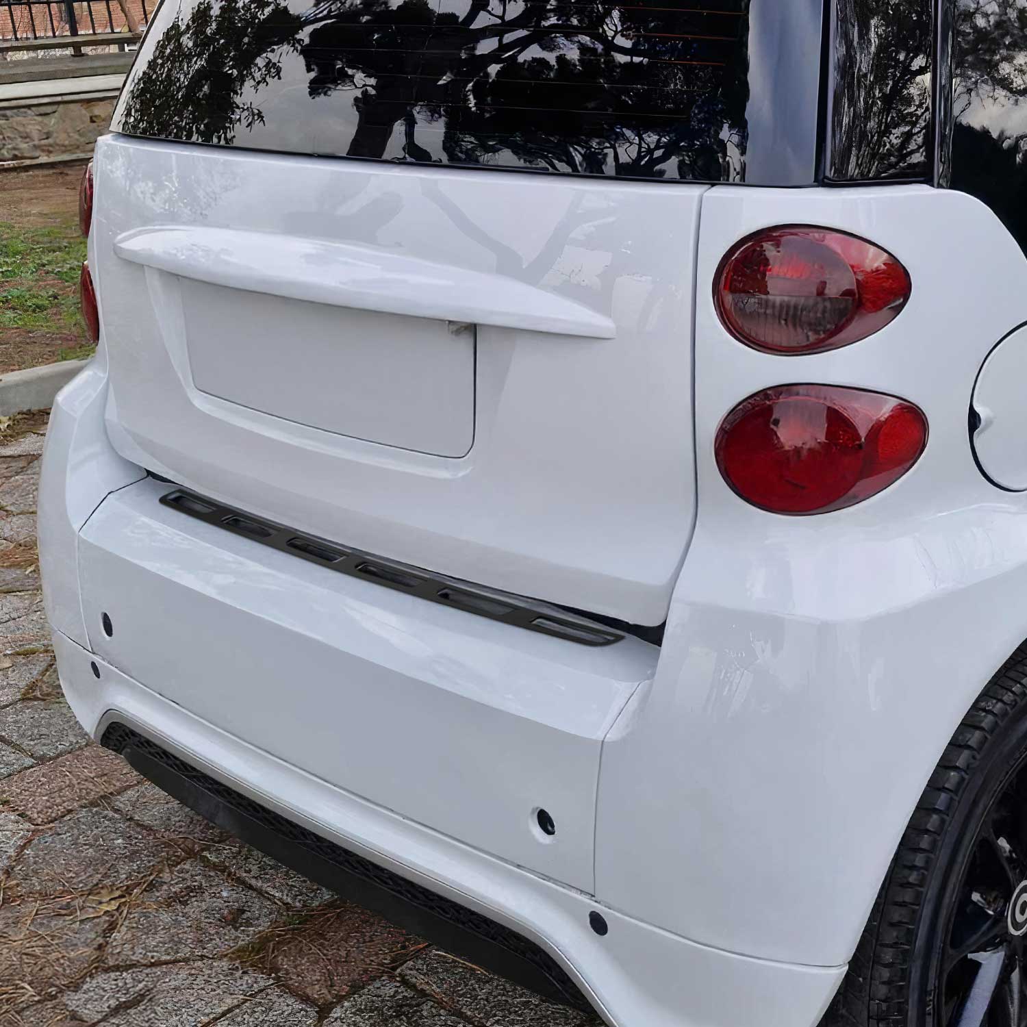 Protection de Pare-Chocs pour Smart ForTwo II W451 2007-2014 Inox dark chrome