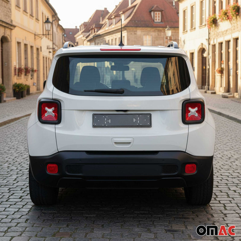 Support de Plaque d'immatriculation en Carbone