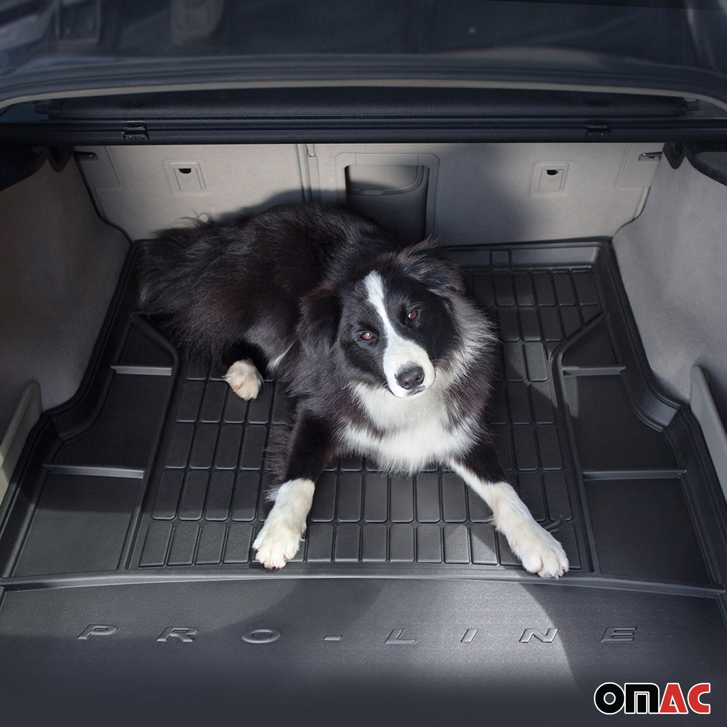 Tapis de Coffre pour Fiat 500 2007-2026 TPE Noir