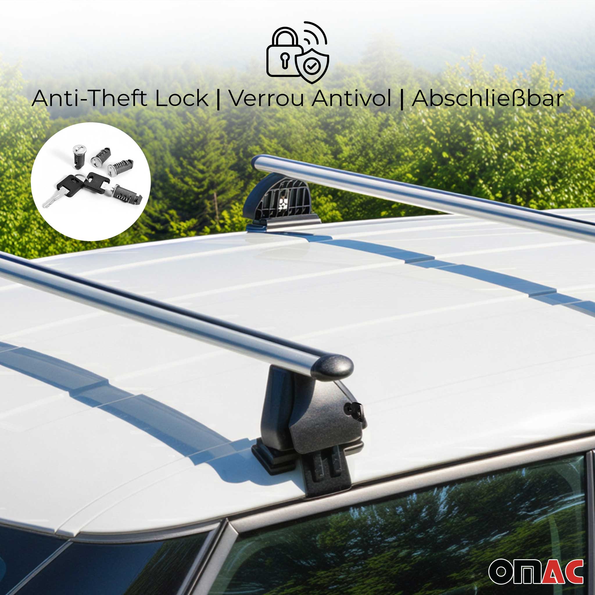 Barres de toit transversales Alu pour Audi A4 B6 Limo 2001-2004 TÜV Gris 2Pcs