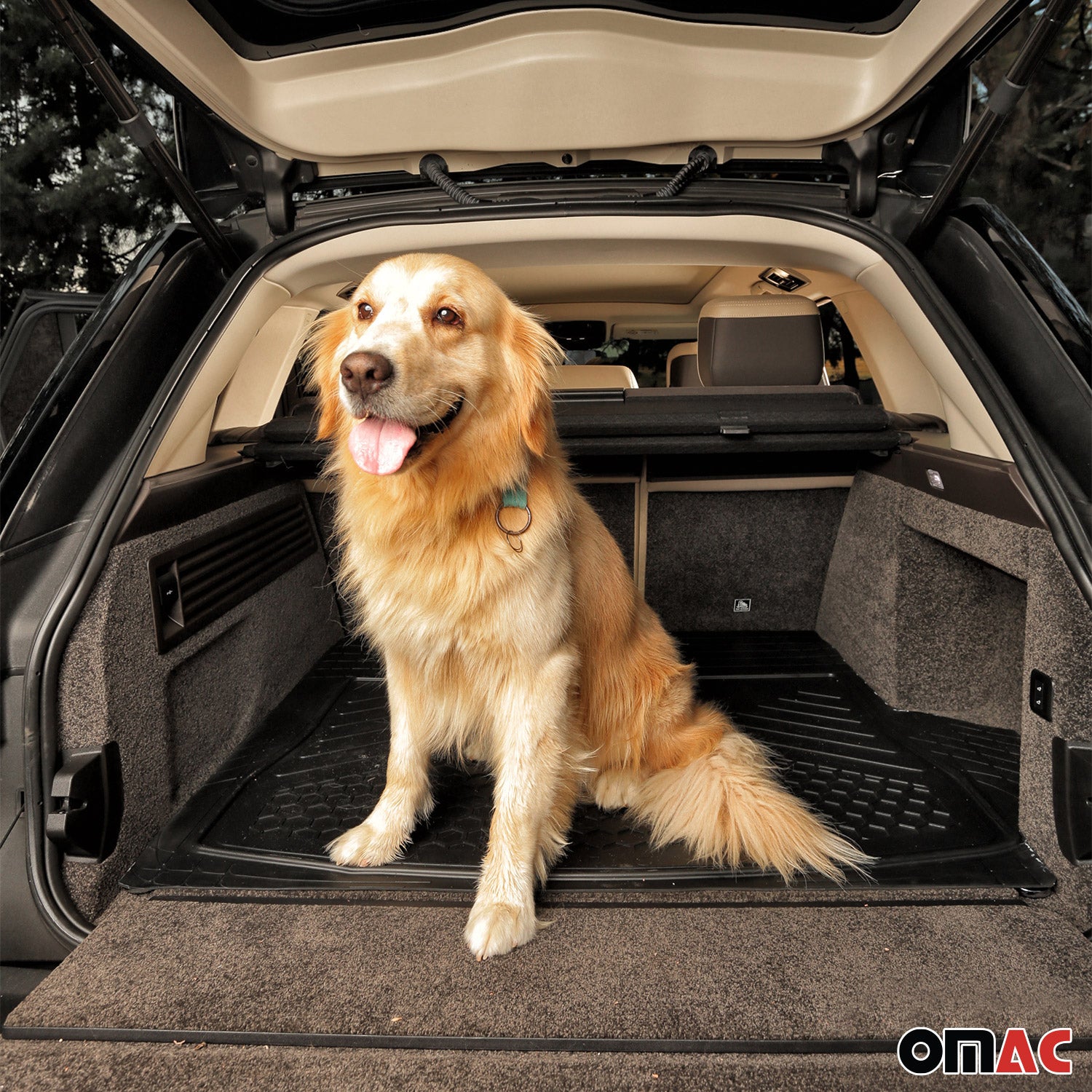 2023-2026 BYD Dolphin OMAC Tapis de coffre en caoutchouc noir